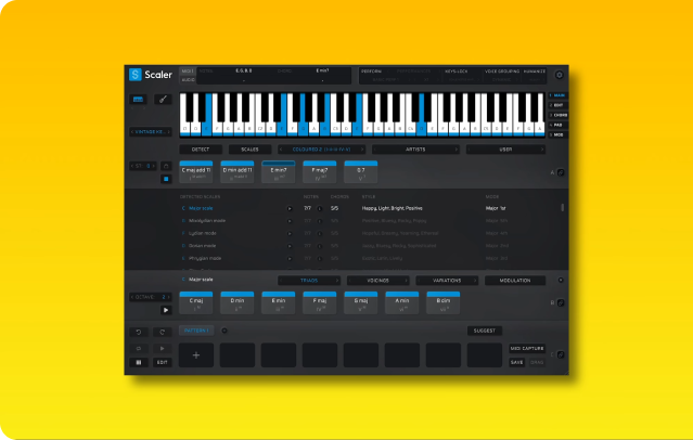 25% off Sugar Lizard